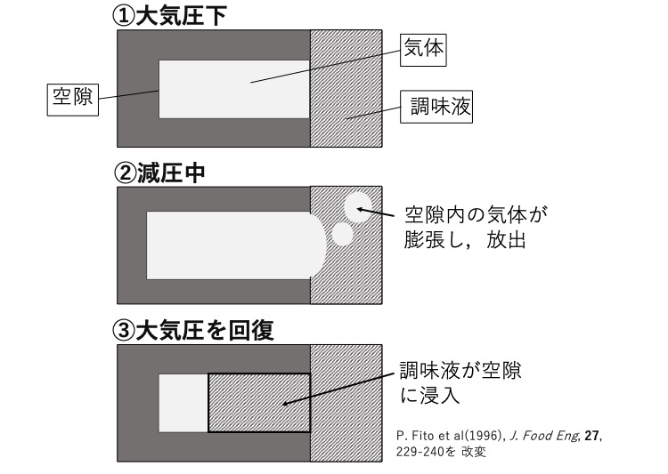真空包装処理における生野菜への調味液浸入過程の模式図の画像
