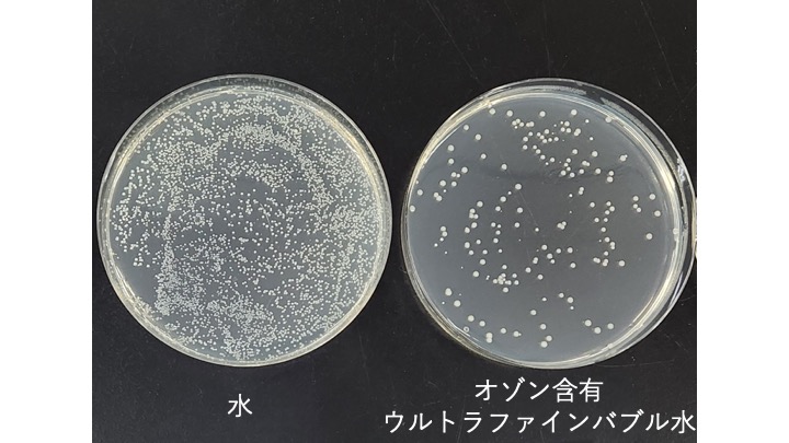 野菜洗浄後の汚染菌の減少の画像